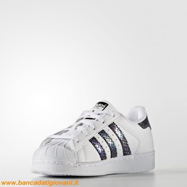 Superstar Adidas 33