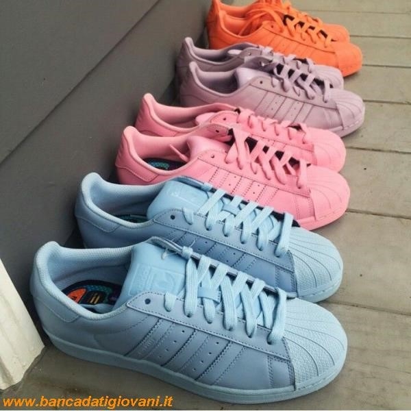 Superstar Adidas Colors