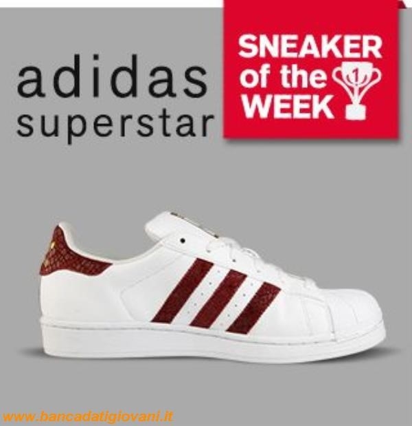 Adidas Superstar Bordeaux